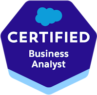 Business Analyst
